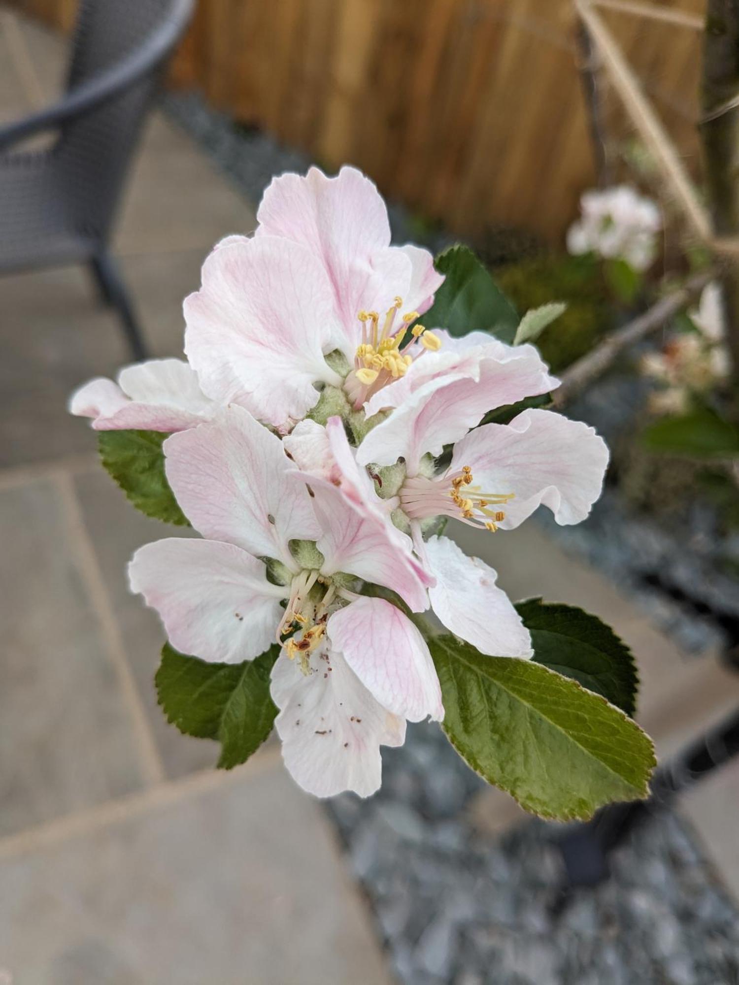Marton near Pickering Rosegarth Bed And Breakfast מראה חיצוני תמונה