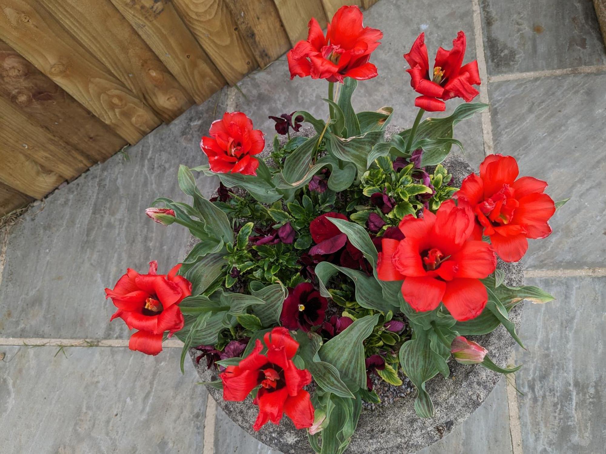 Marton near Pickering Rosegarth Bed And Breakfast מראה חיצוני תמונה